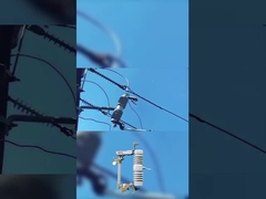 فيوز با کیفیت بالا 40.5 kv پلیمر یا سرامیک قطعه فيوز قطعه